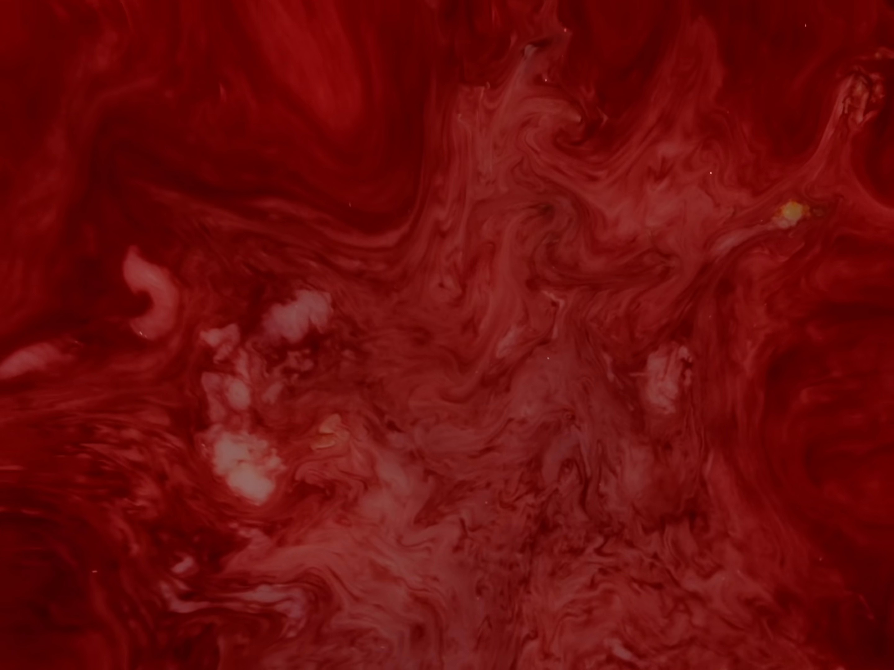 Still Moving (2025) —  shot,  lighting