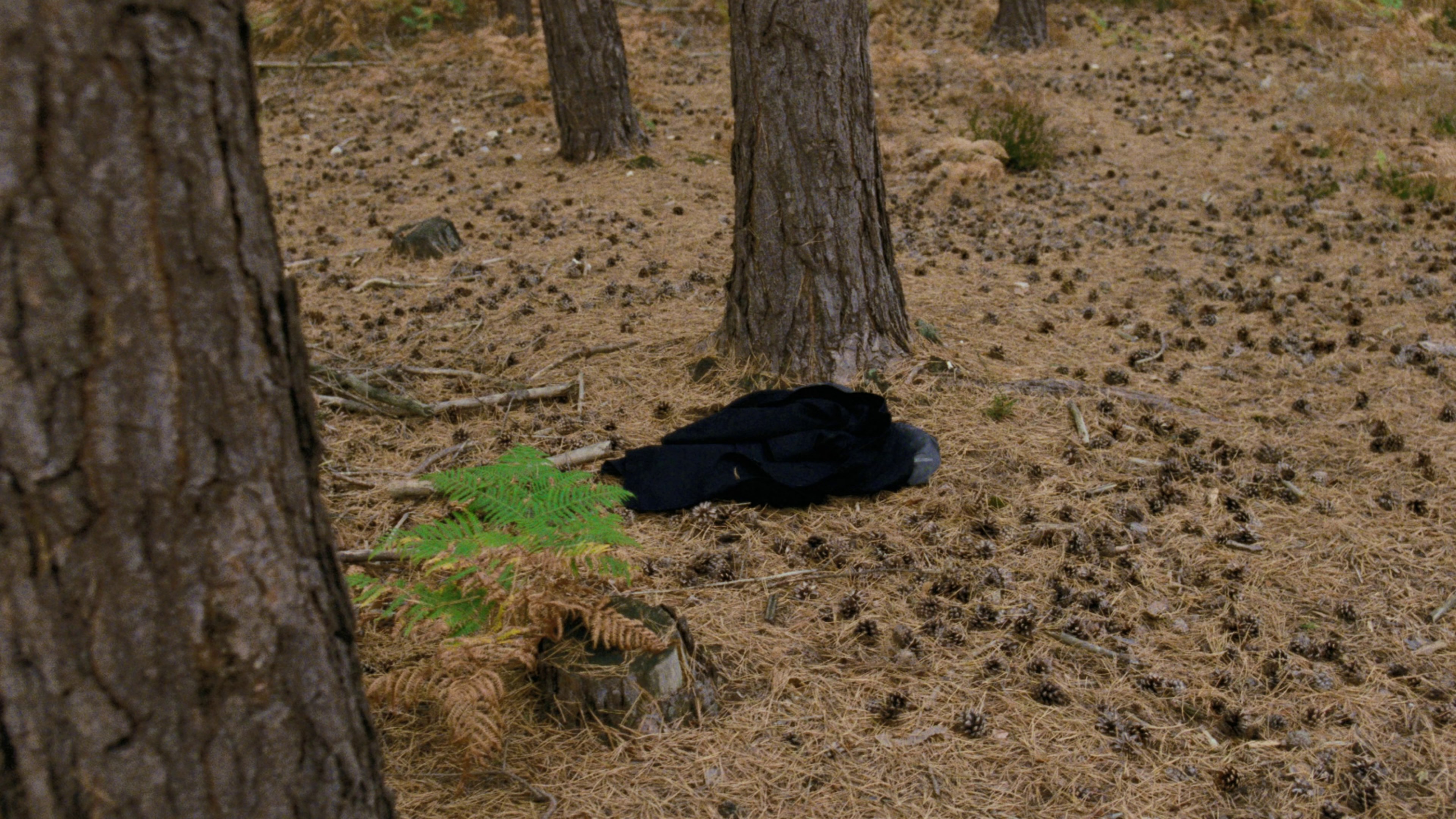 The Scientist  (2002) —  shot,  lighting