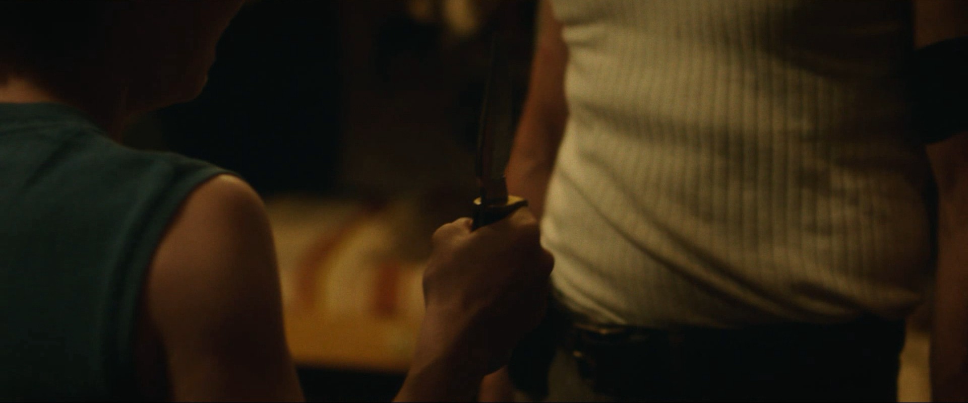 Captain Fantastic (2016) —  shot,  lighting