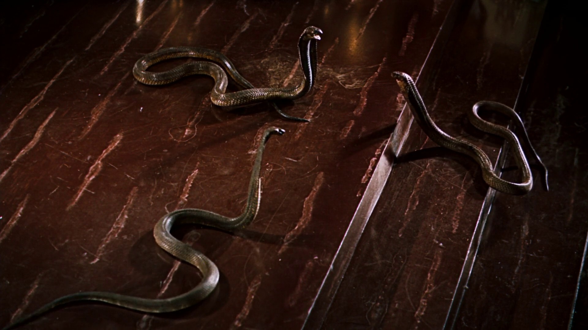 The Ten Commandments (1956) —  shot,  lighting