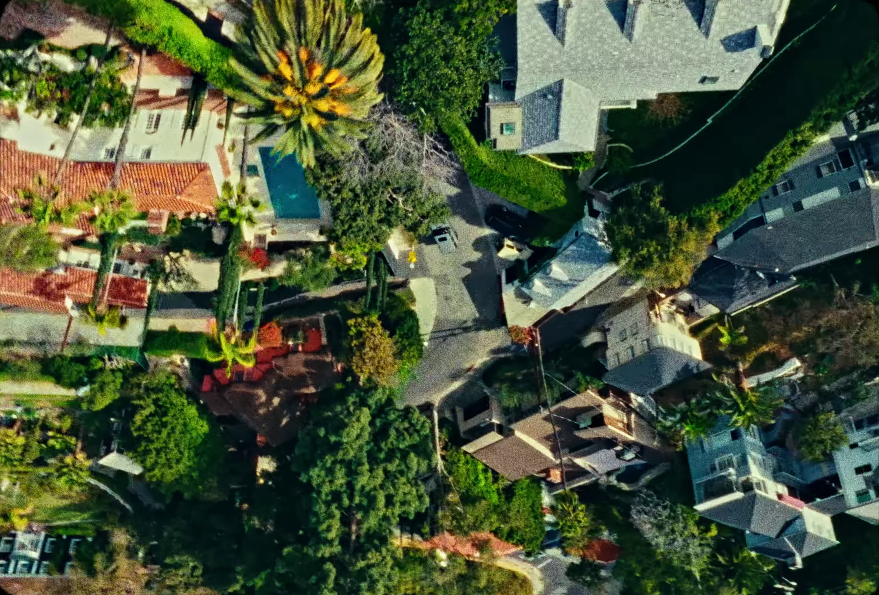 I Love This Feeling (2024) —  shot,  lighting