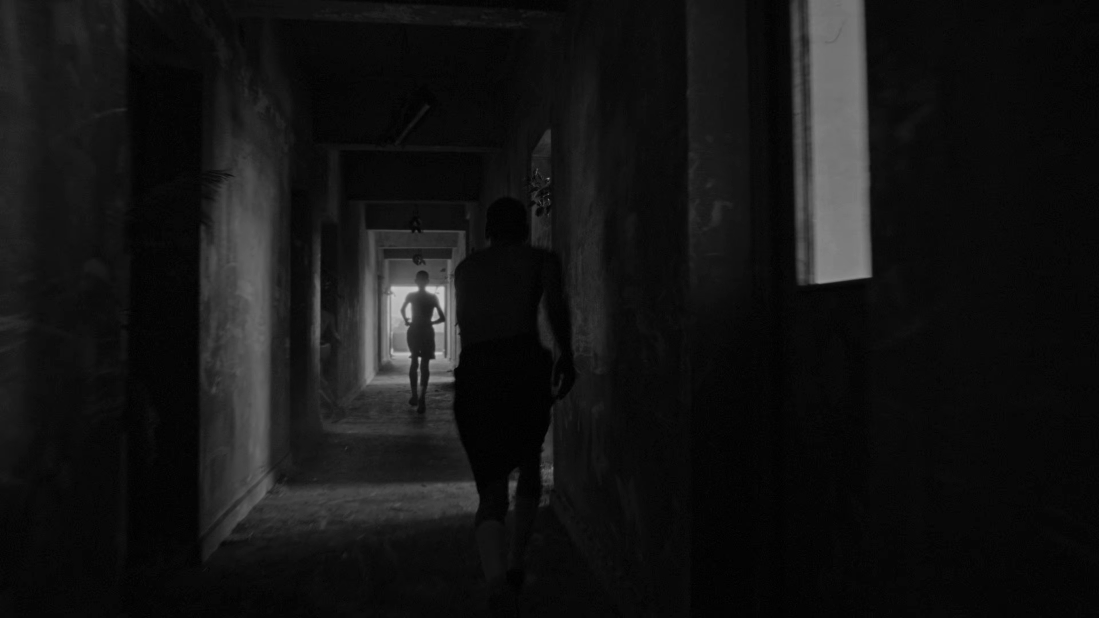 Bzns (2026) —  shot,  lighting