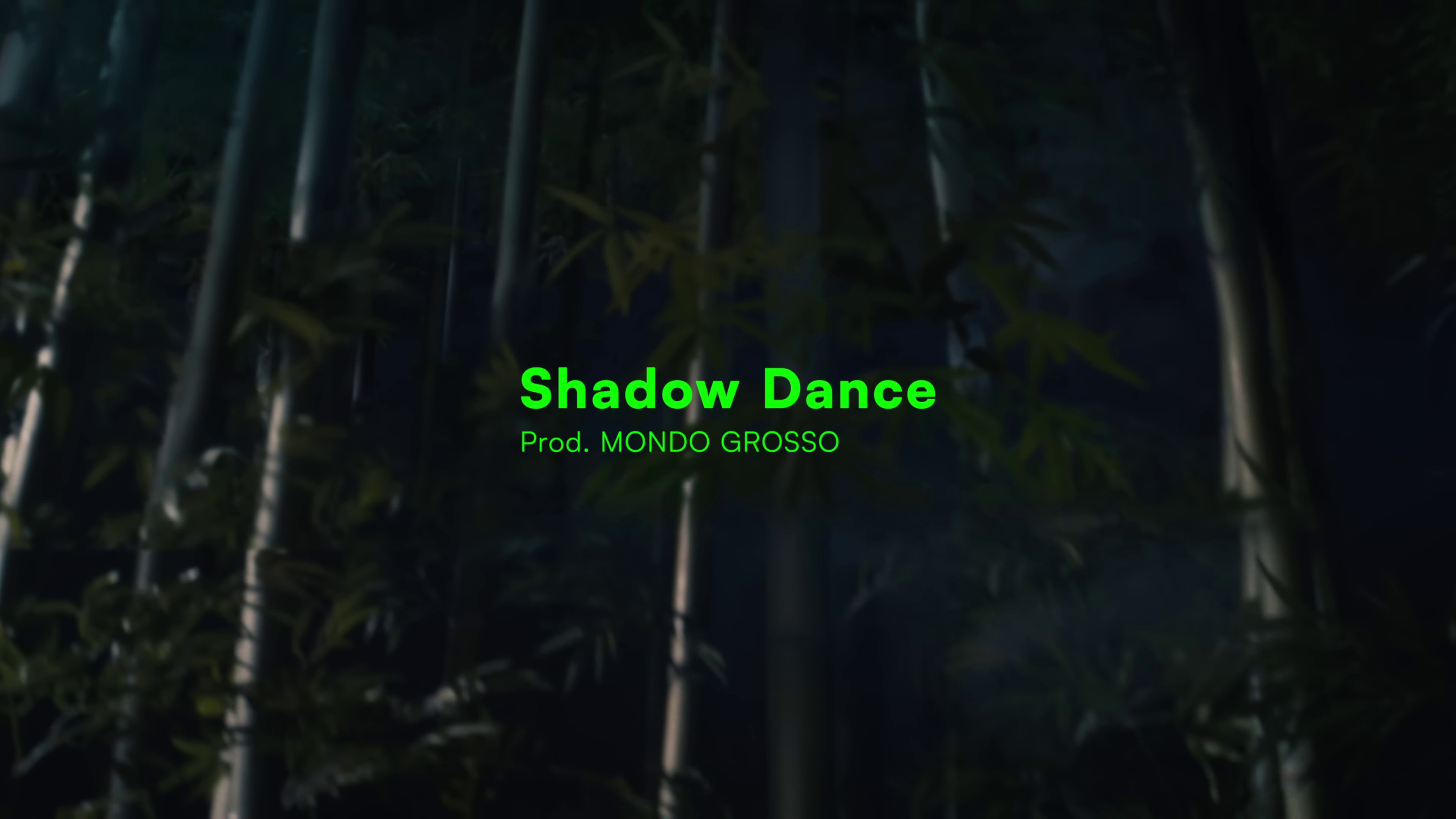Shadow Dance (2023) —  shot,  lighting