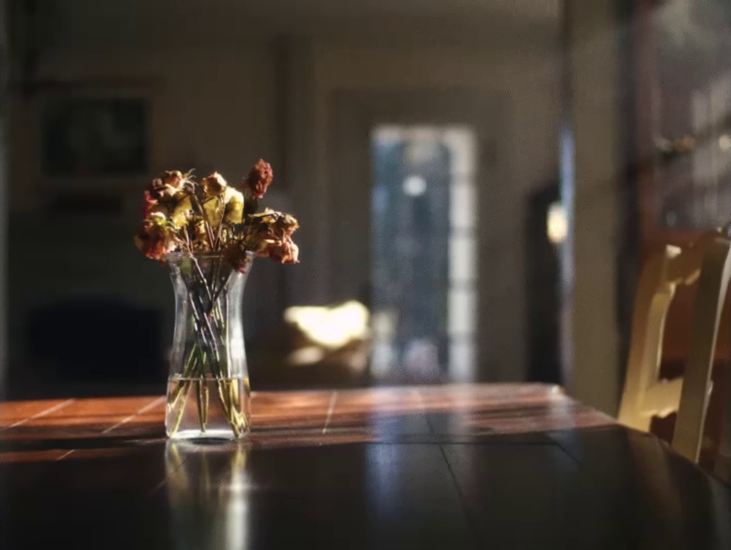 Glad You Did (2024) —  shot,  lighting