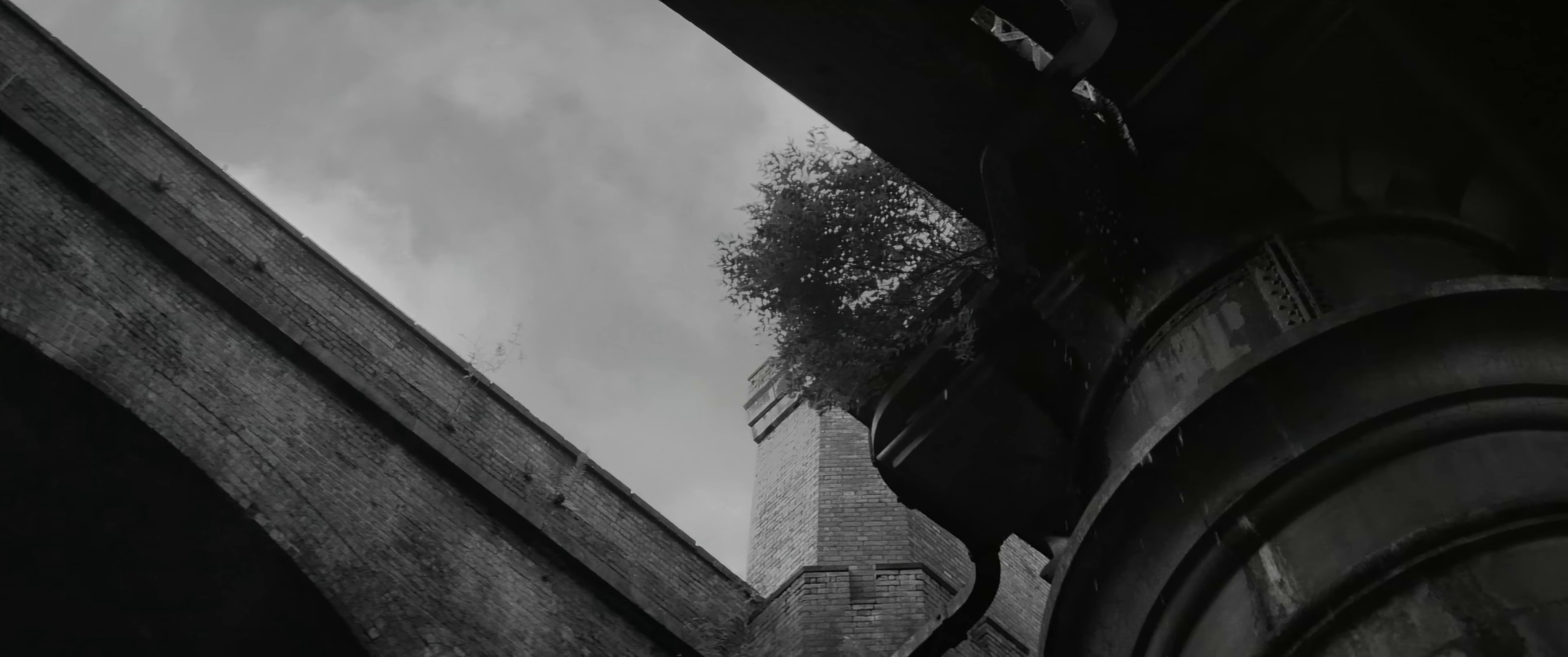 Too Good For Giving Up (2022) —  shot,  lighting