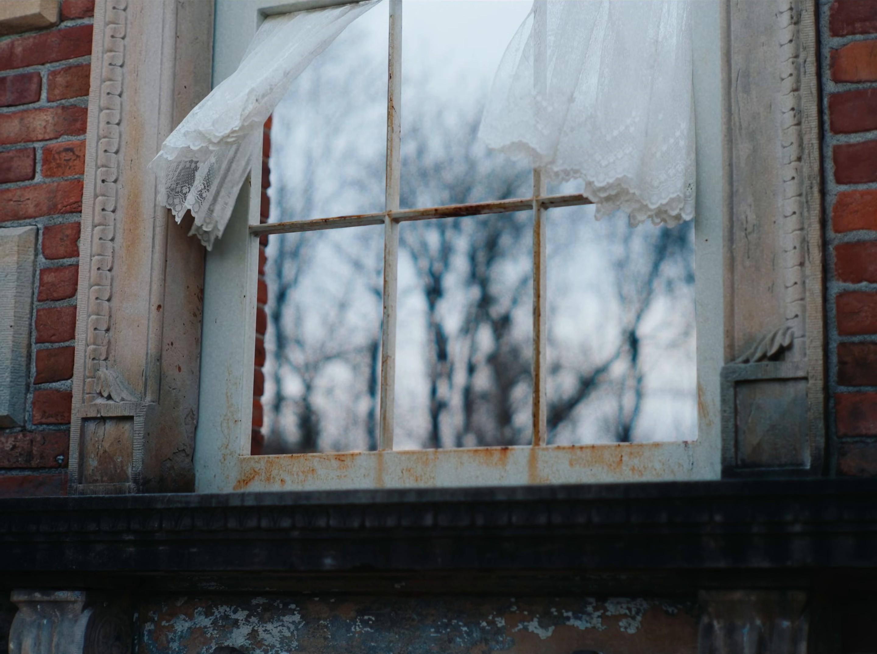 They Keep Trying To Find You (2026) —  shot,  lighting