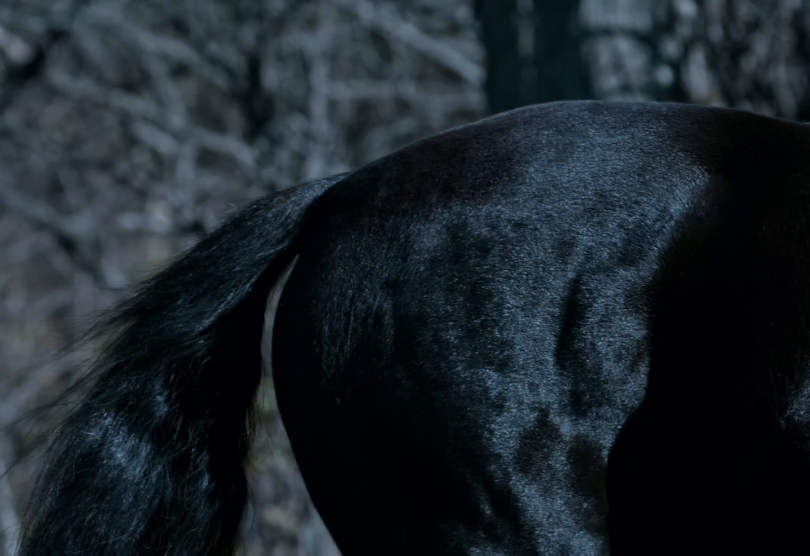 House (2025) —  shot,  lighting