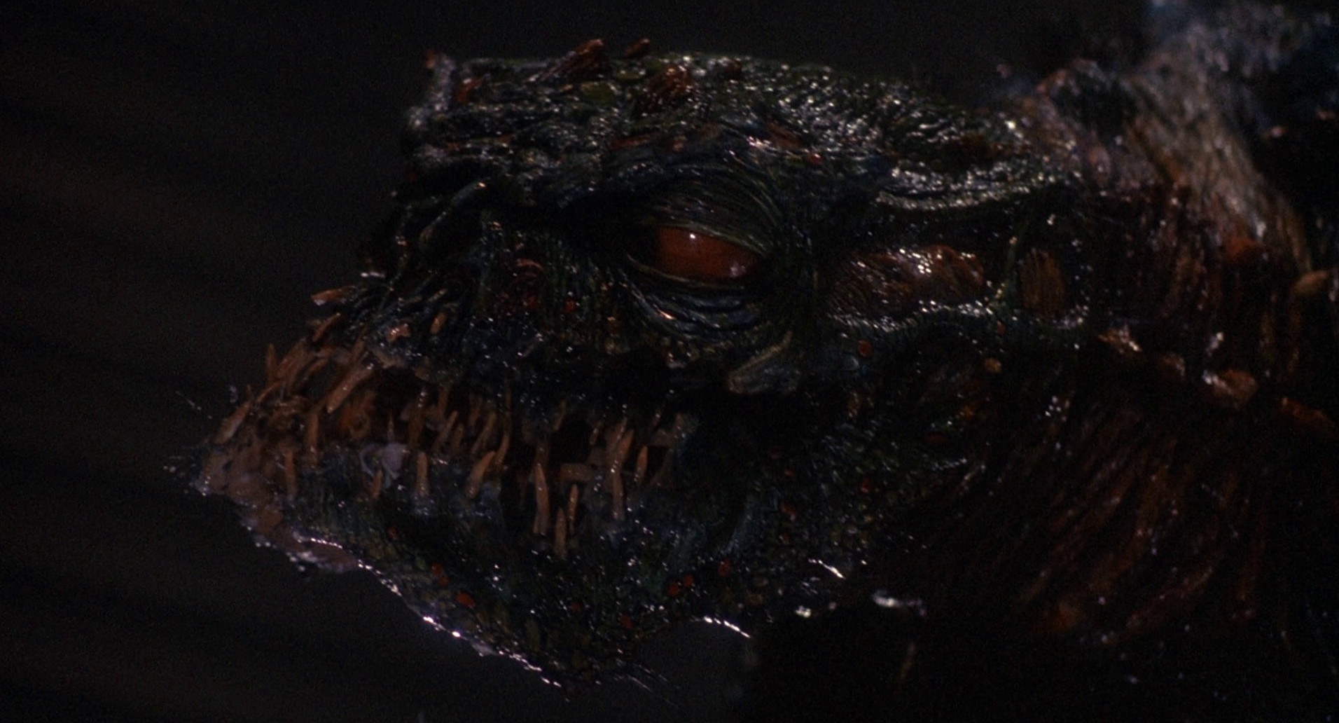 The Fly II (1989) —  shot,  lighting