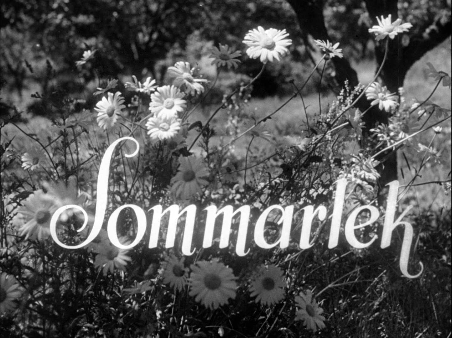 Summer Interlude (1951) —  shot,  lighting
