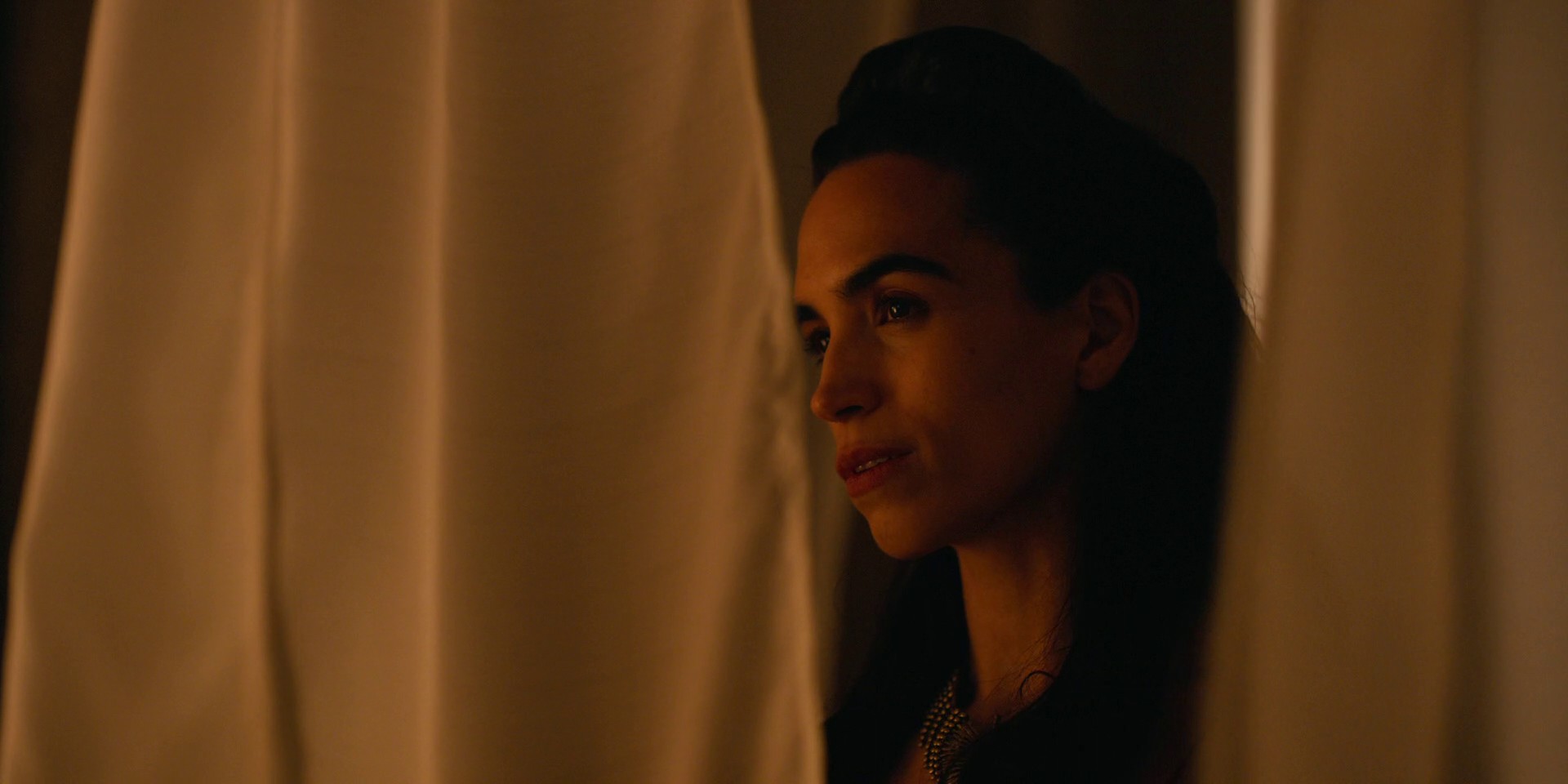 Barbarians at the Gate (2021) —  shot,  lighting