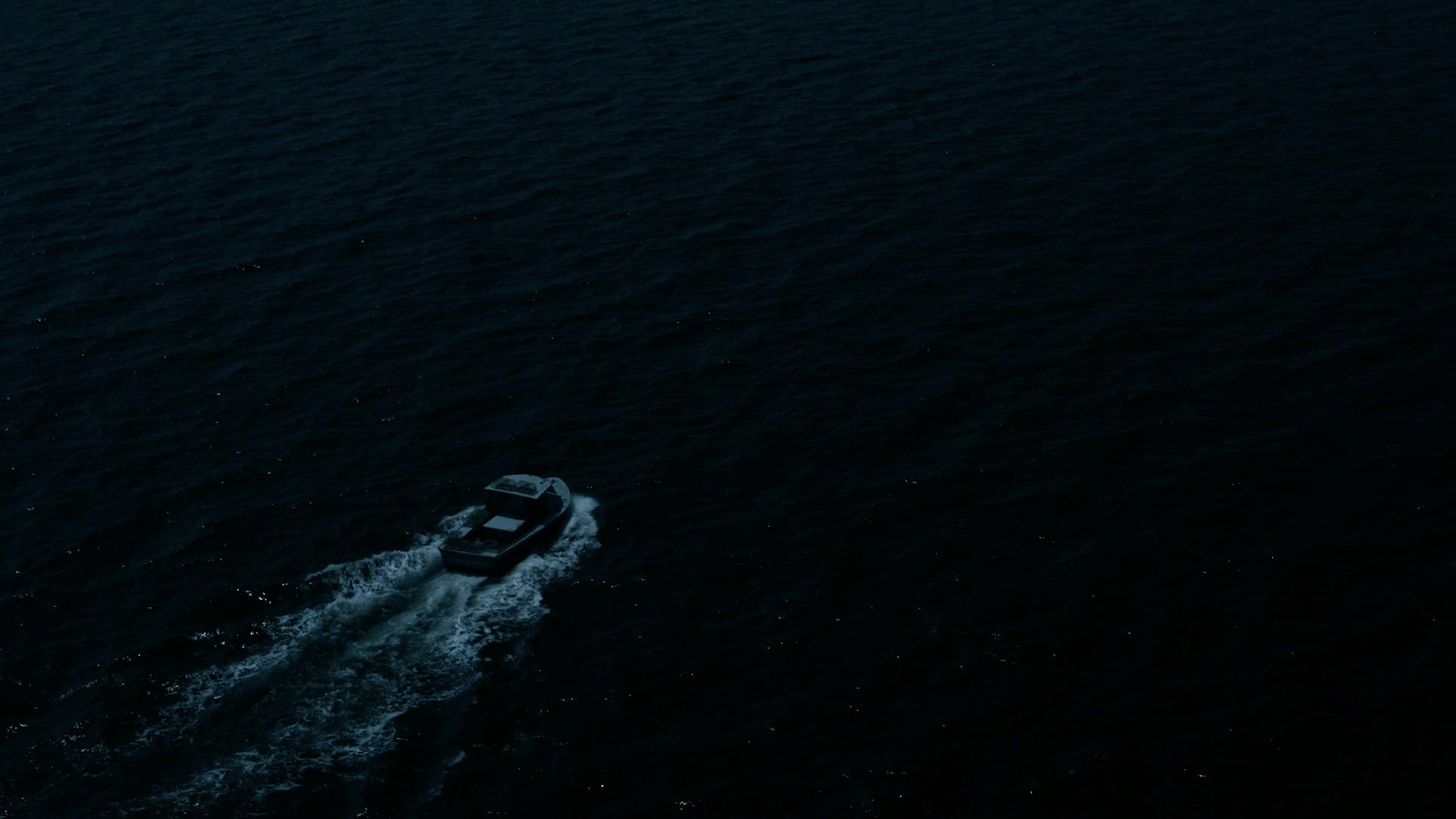 Rebellion Dogs (2020) —  shot,  lighting