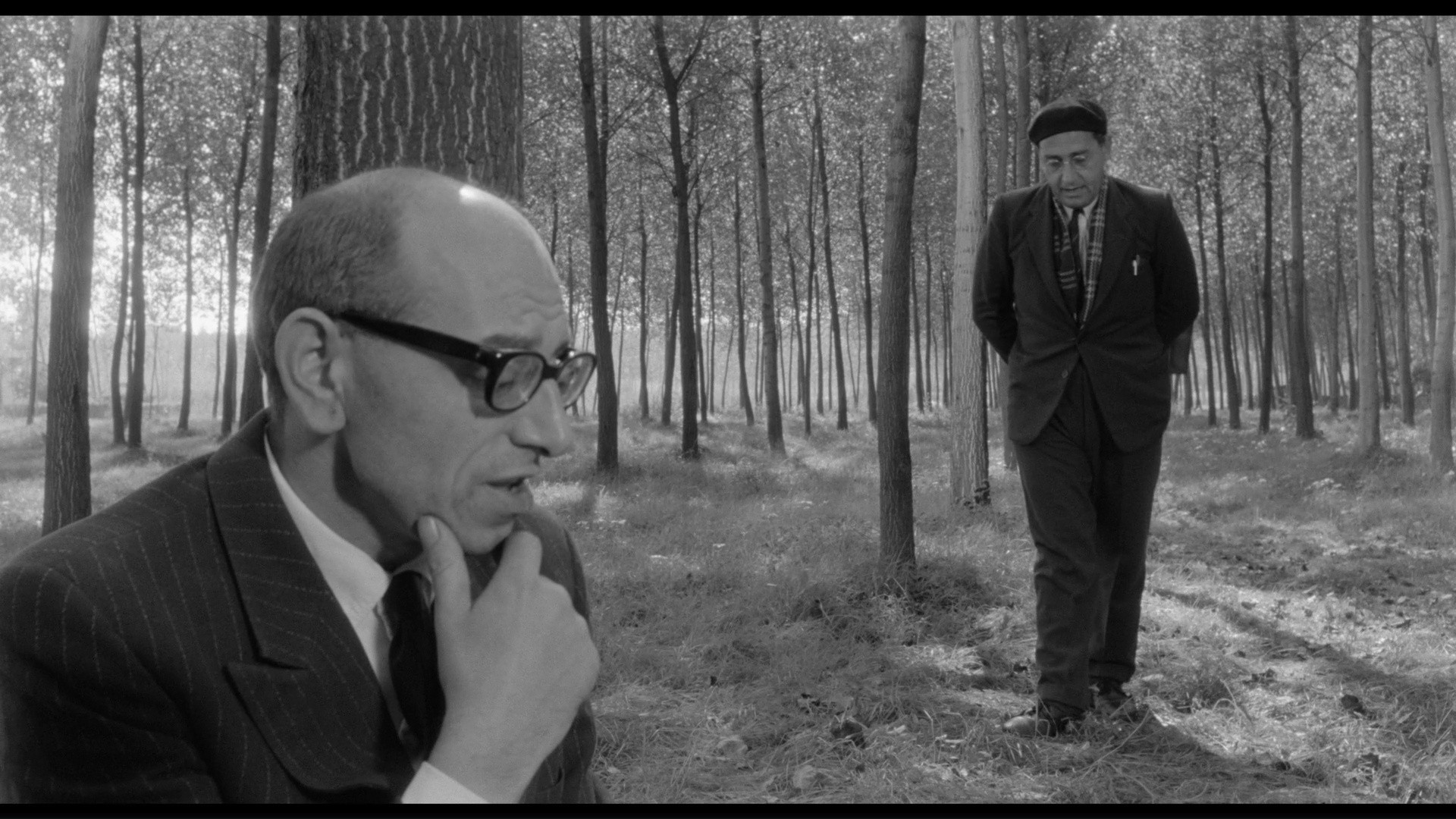 Il maestro di Vigevano (1963) —  shot,  lighting