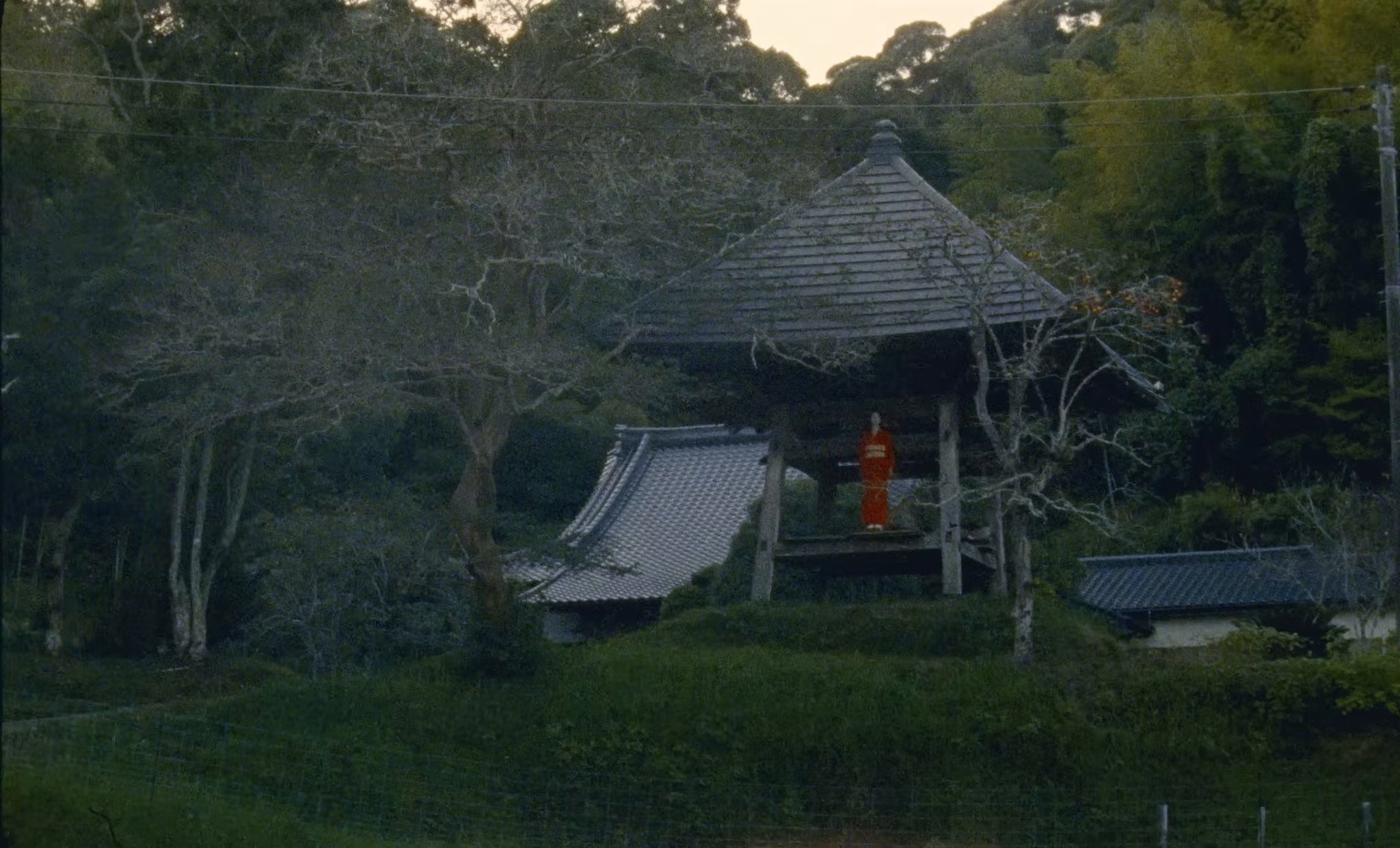 Orange Juice (2025) —  shot,  lighting