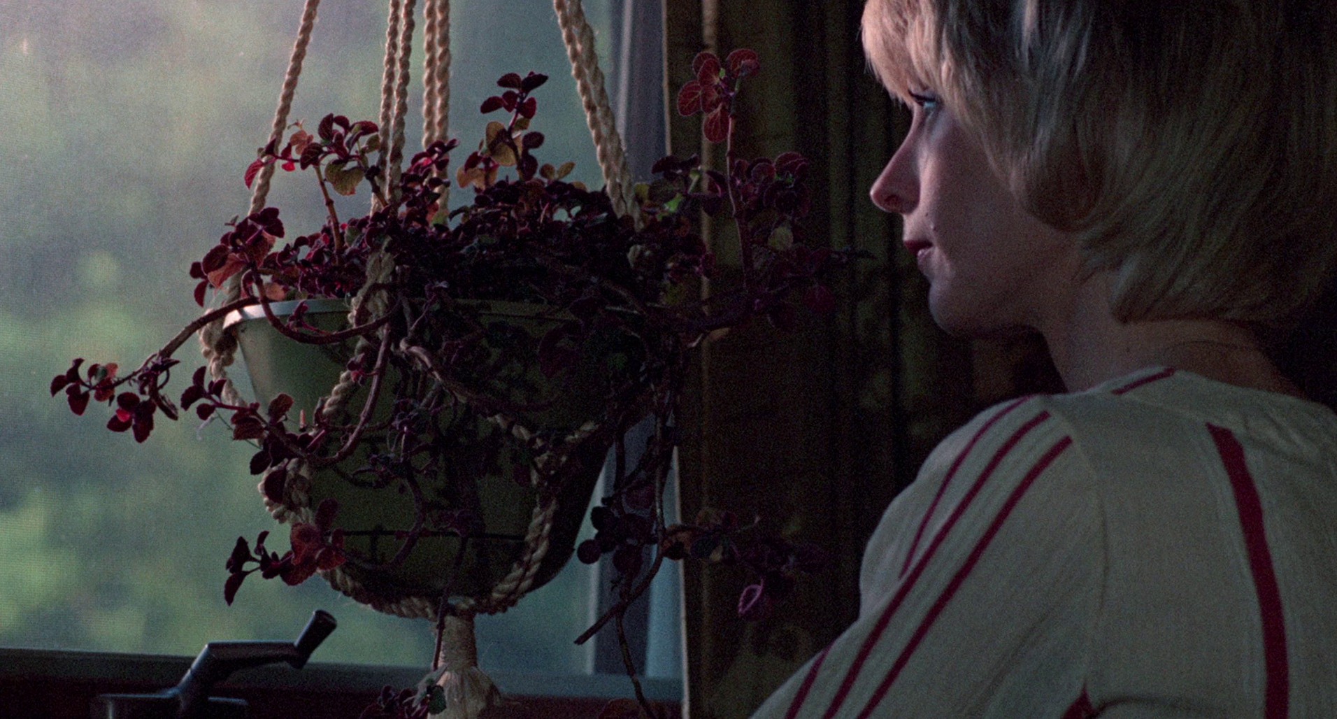 Dark August (1976) —  shot,  lighting