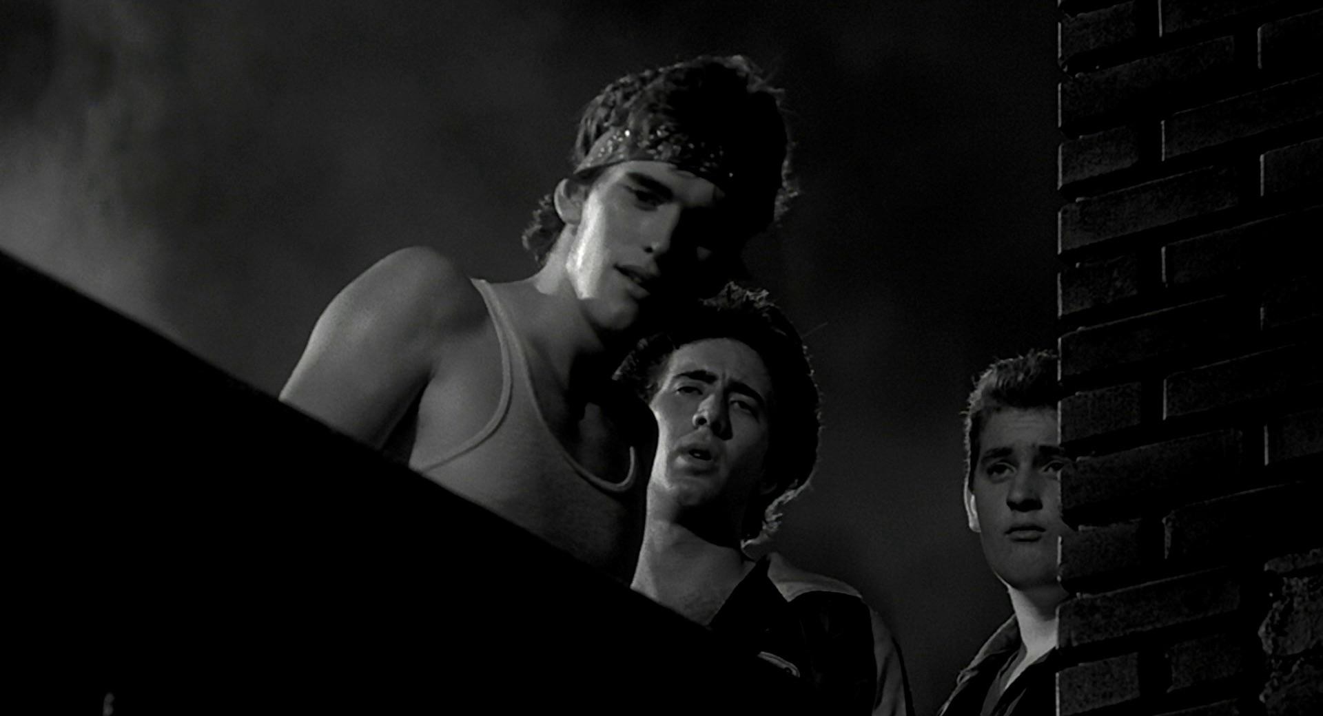 Rumble Fish (1983) —  shot,  lighting