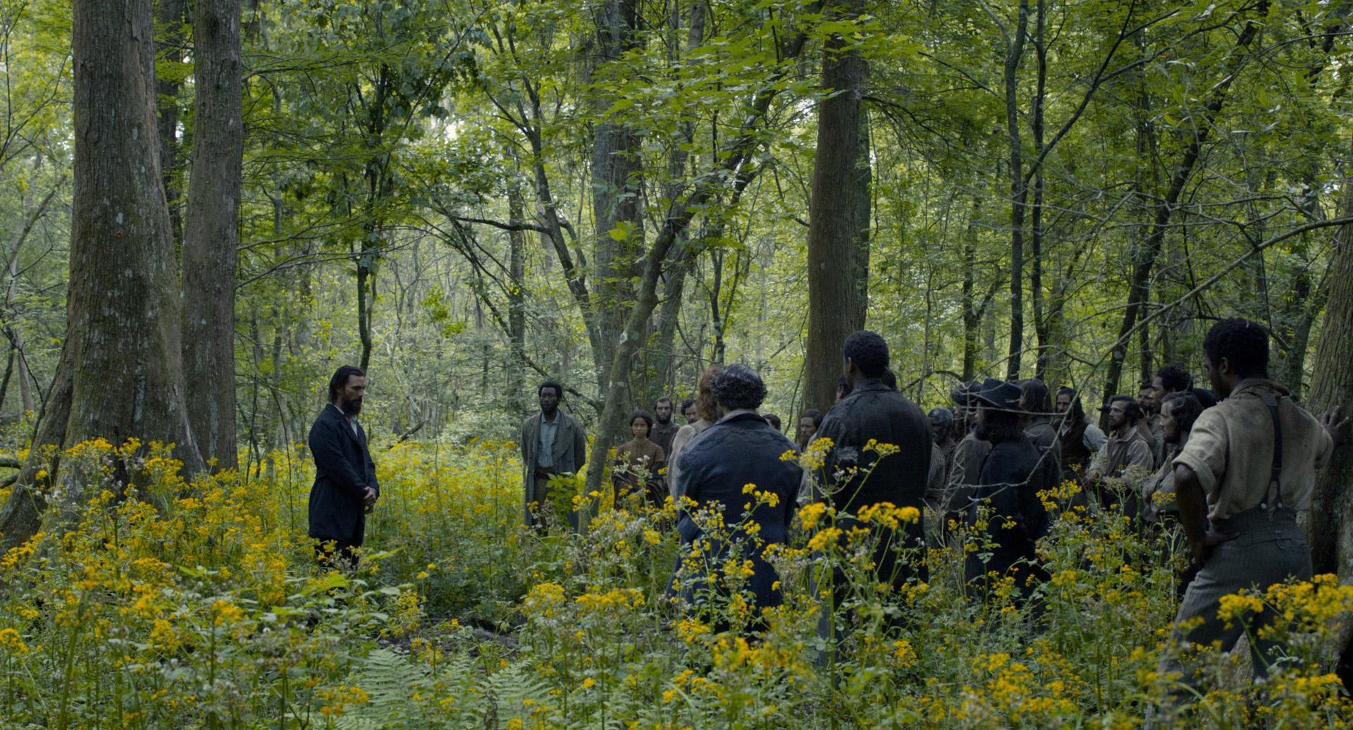 Free State of Jones (2016) —  shot,  lighting