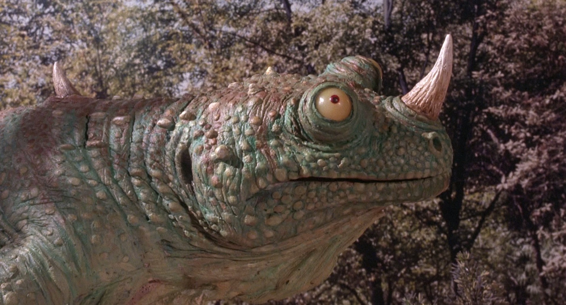 Caveman (1981) —  shot,  lighting