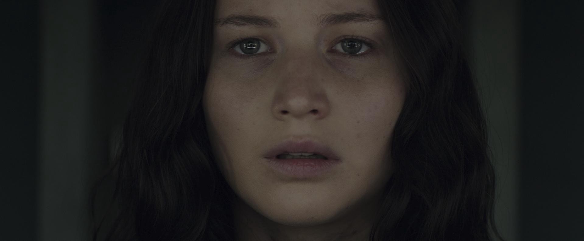 The Hunger Games: Mockingjay - Part 2 (2015) —  shot,  lighting