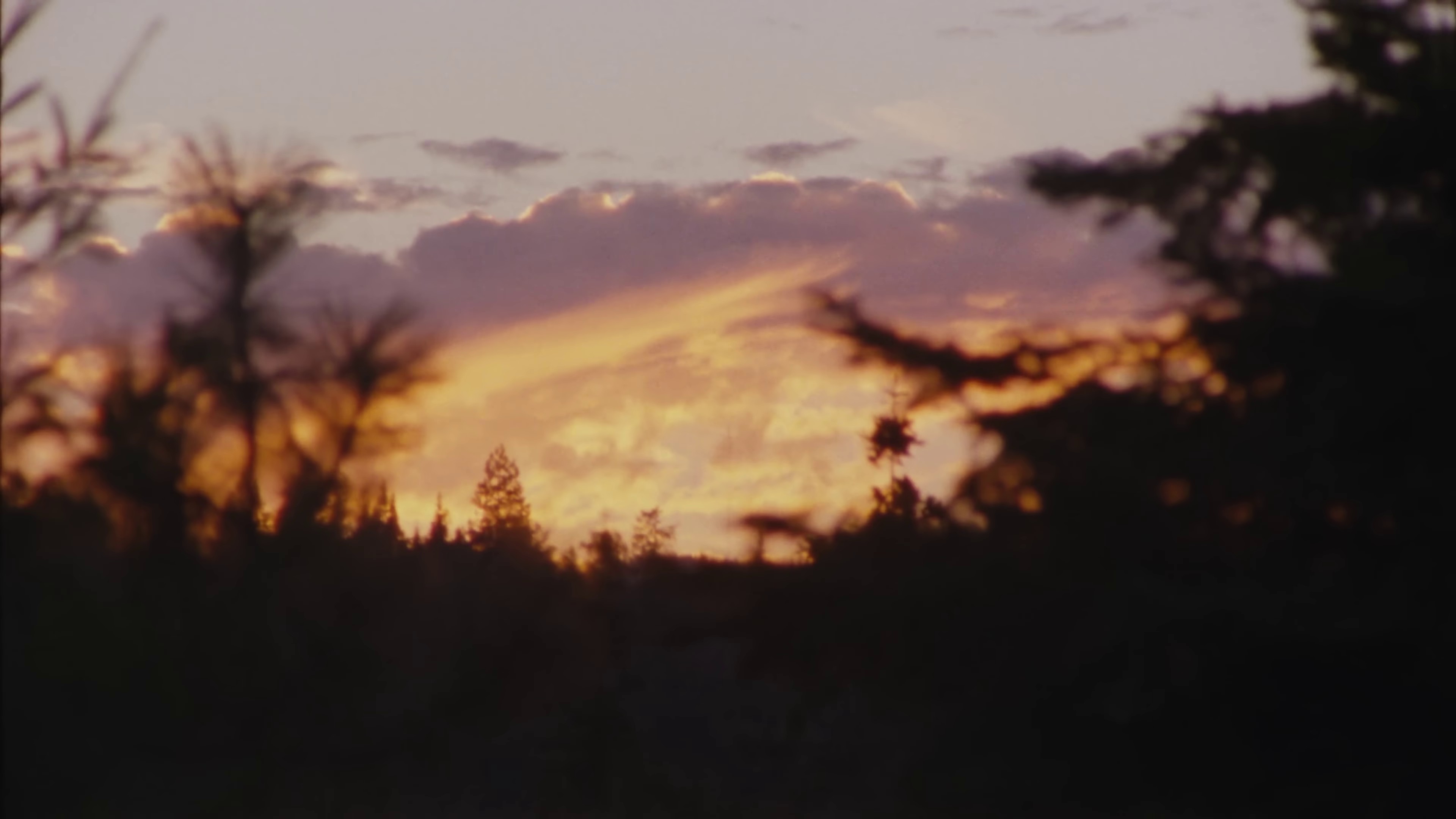 Woke Up in Love (2022) —  shot,  lighting