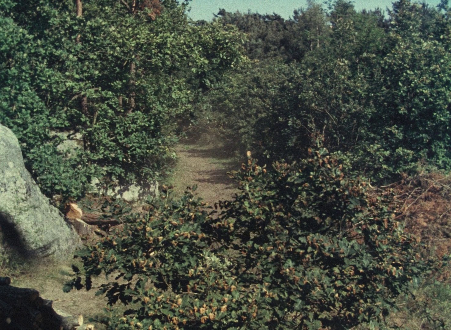 The Three Musketeers (1953) —  shot,  lighting