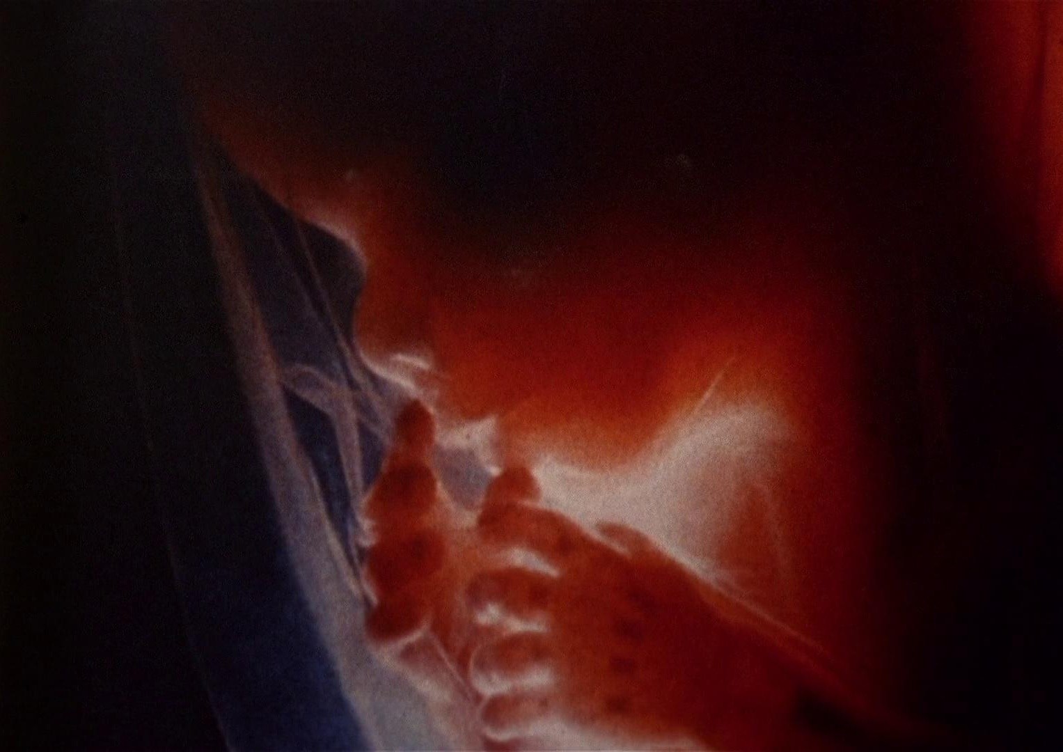 Sisters (1973) —  shot,  lighting