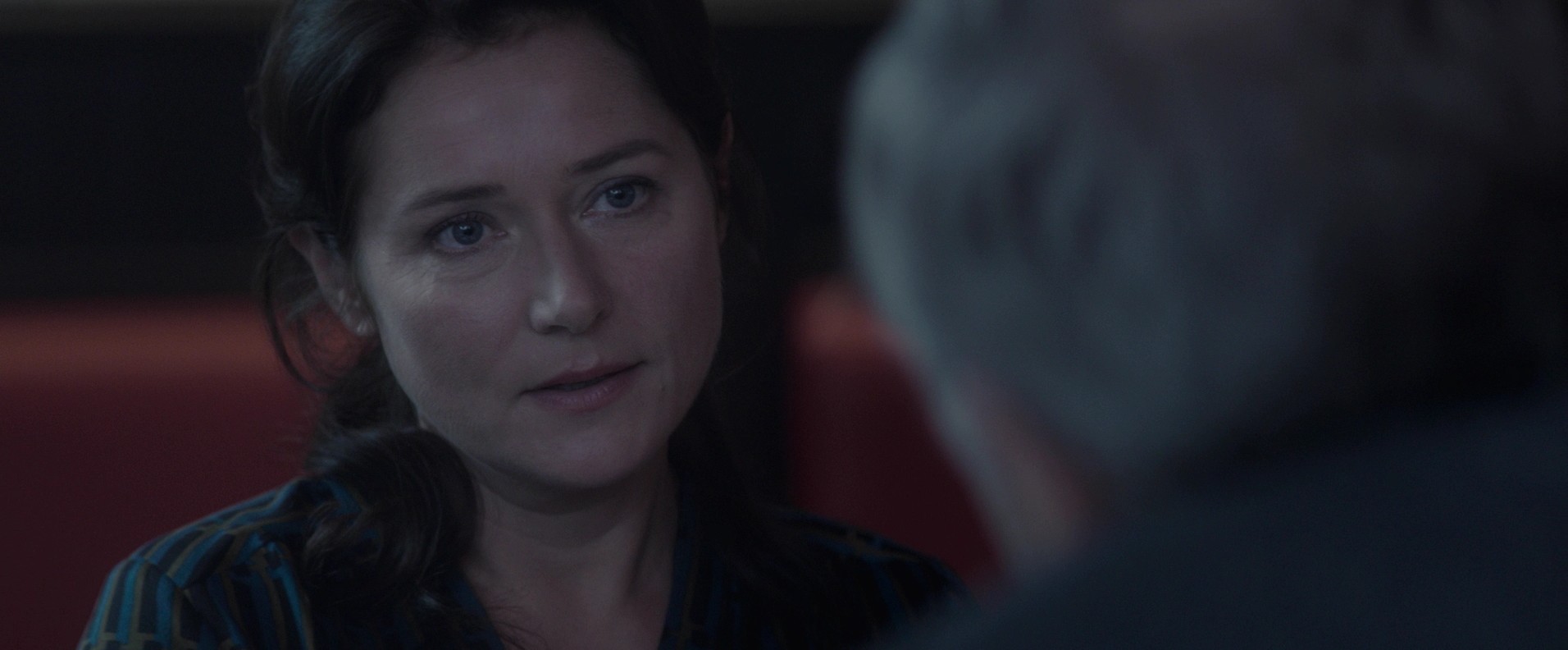 L'hermine (2015) —  shot,  lighting