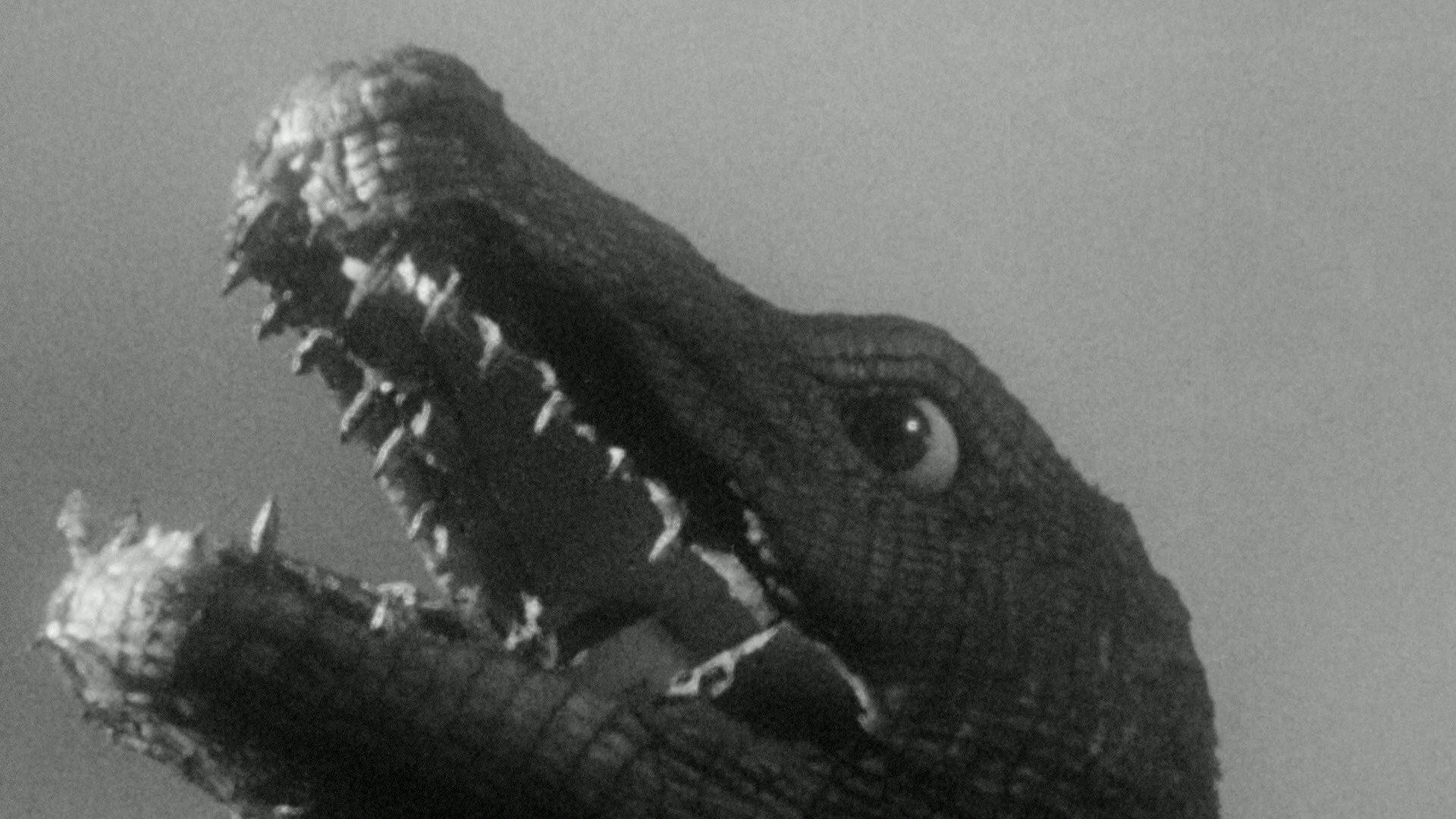 The Giant Behemoth (1959) —  shot,  lighting