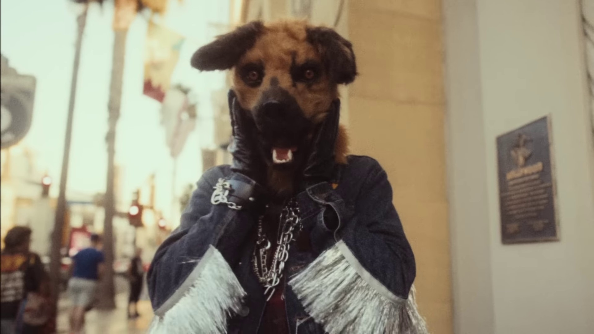 Bubblegum Dog (2023) —  shot,  lighting