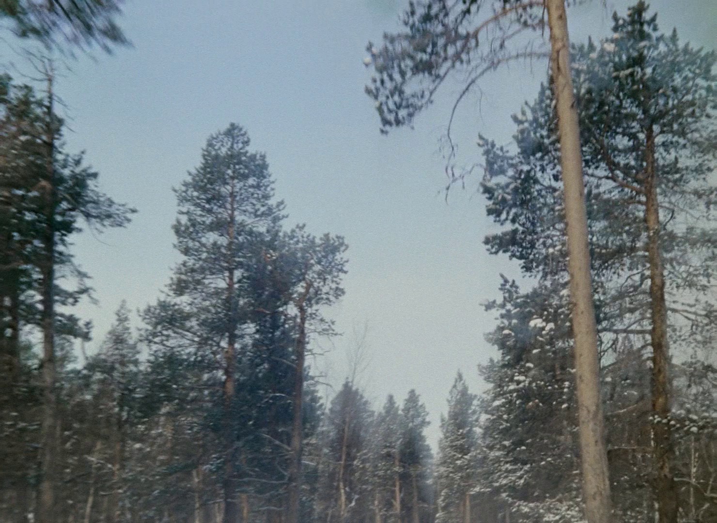 Frosty (1965) —  shot,  lighting