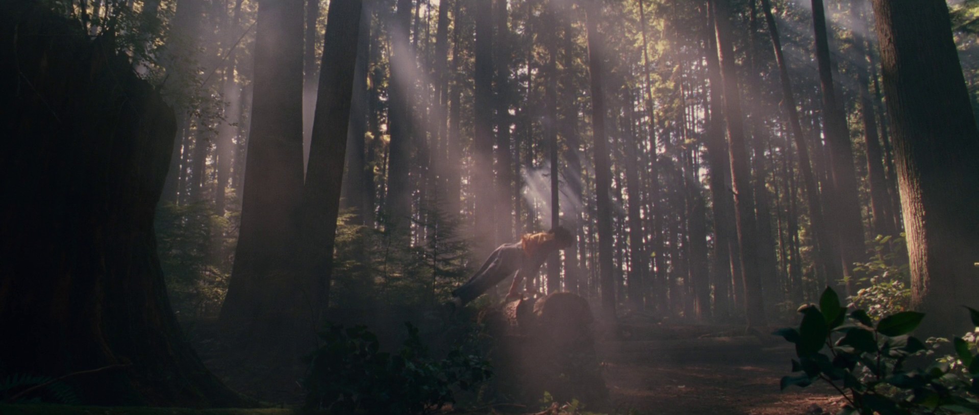 Hot Rod (2007) —  shot,  lighting