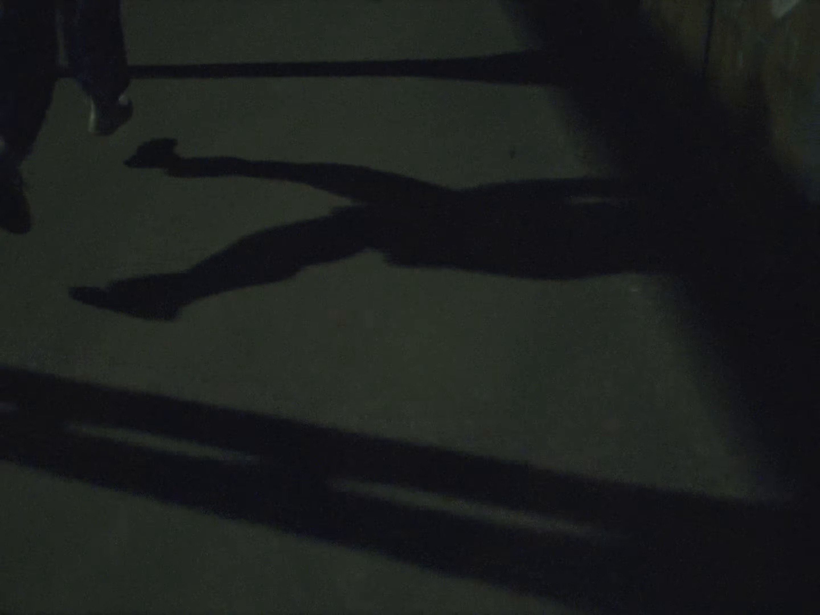 Follow (2024) —  shot,  lighting