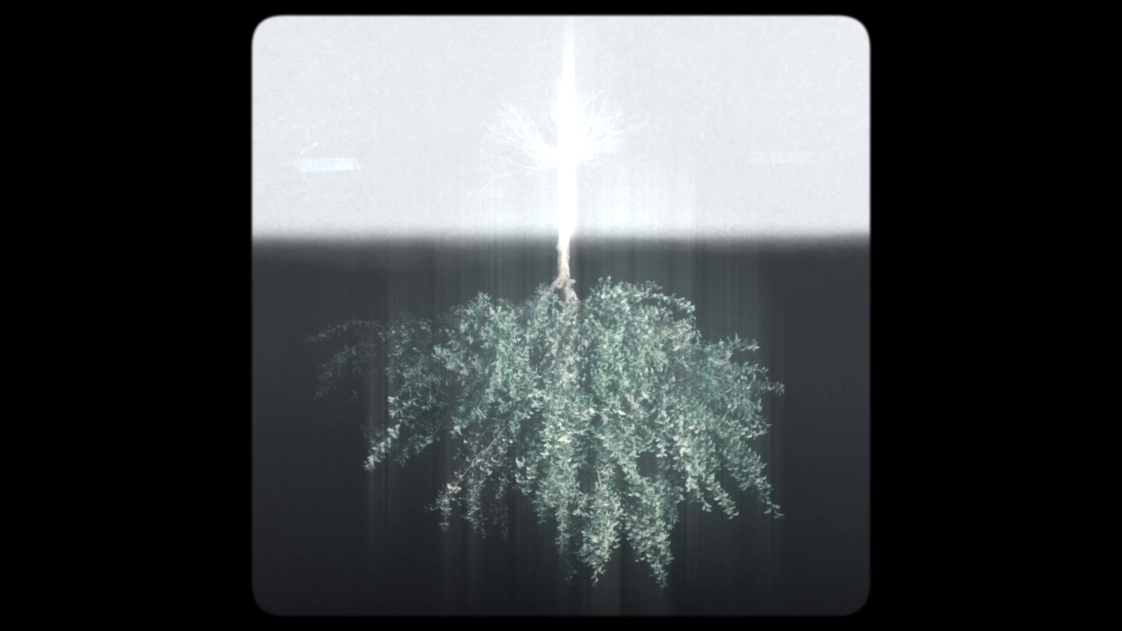 BORN AGAIN (2025) —  shot,  lighting