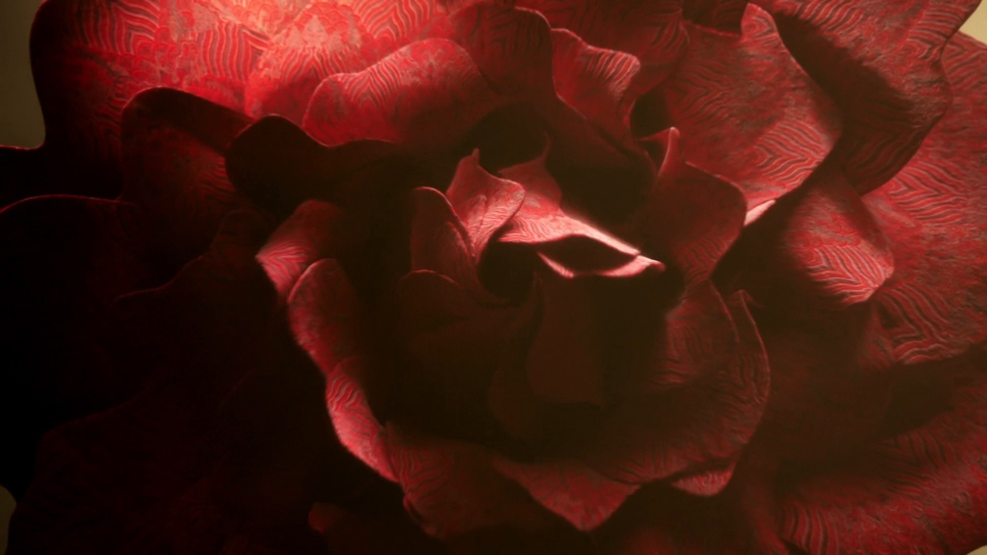 BITIS HUNTER - STREET X VIET MAX (2021) —  shot,  lighting