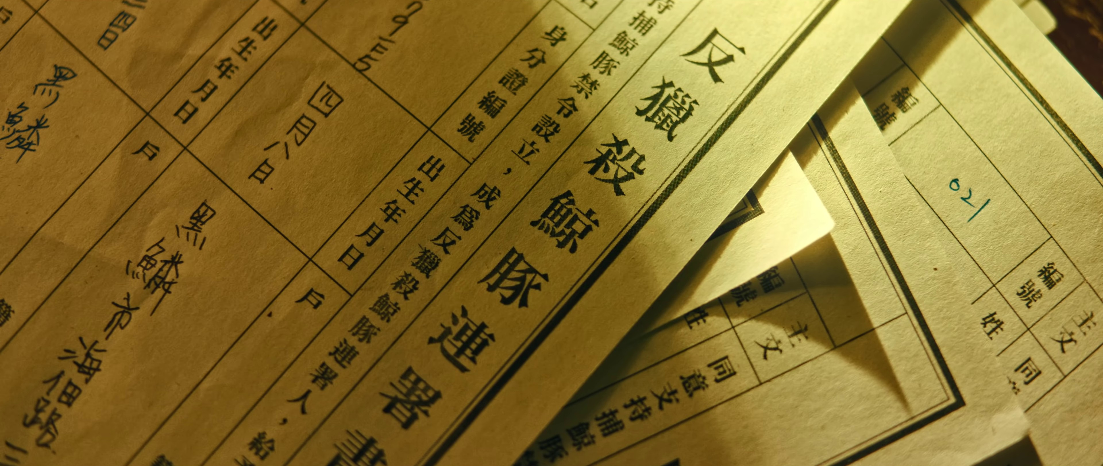 Sweet Guilty Pleasure (2020) —  shot,  lighting