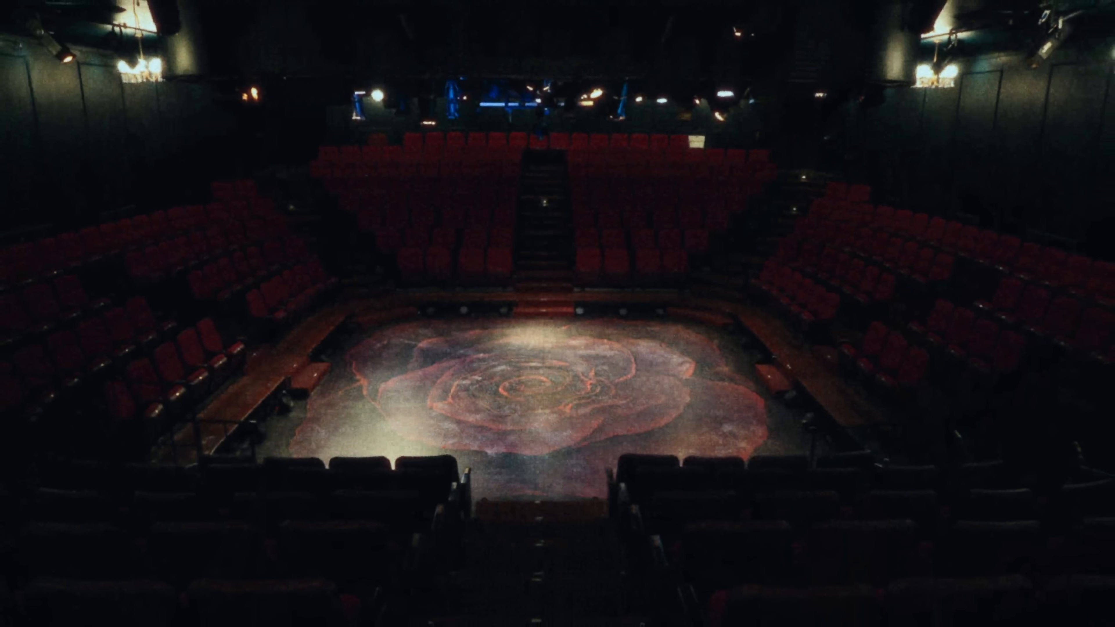 Cactus Water (2024) —  shot,  lighting