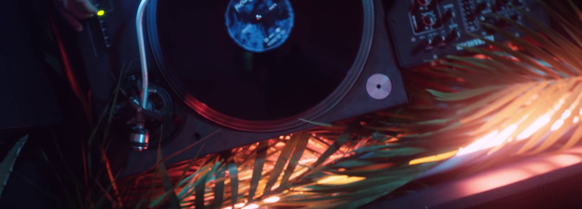 Dale x Love Therapy (2019) —  shot,  lighting