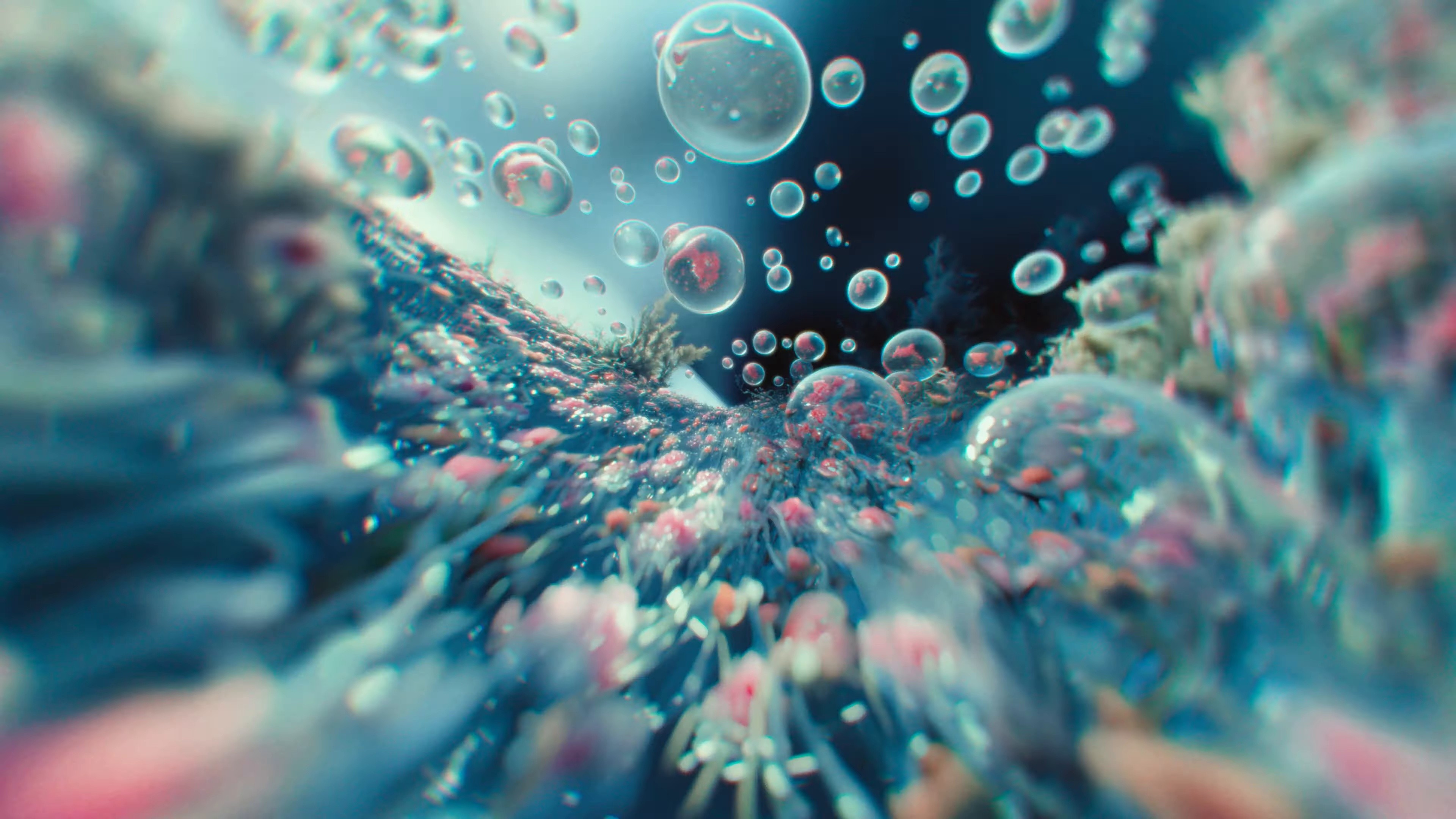 IYKYK (2024) —  shot,  lighting