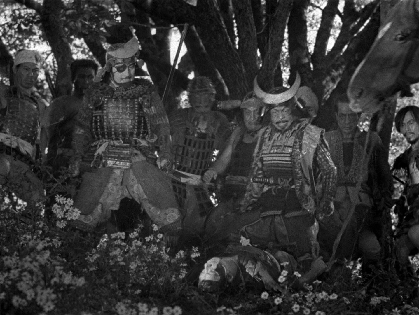 Seven Samurai (1954) —  shot,  lighting