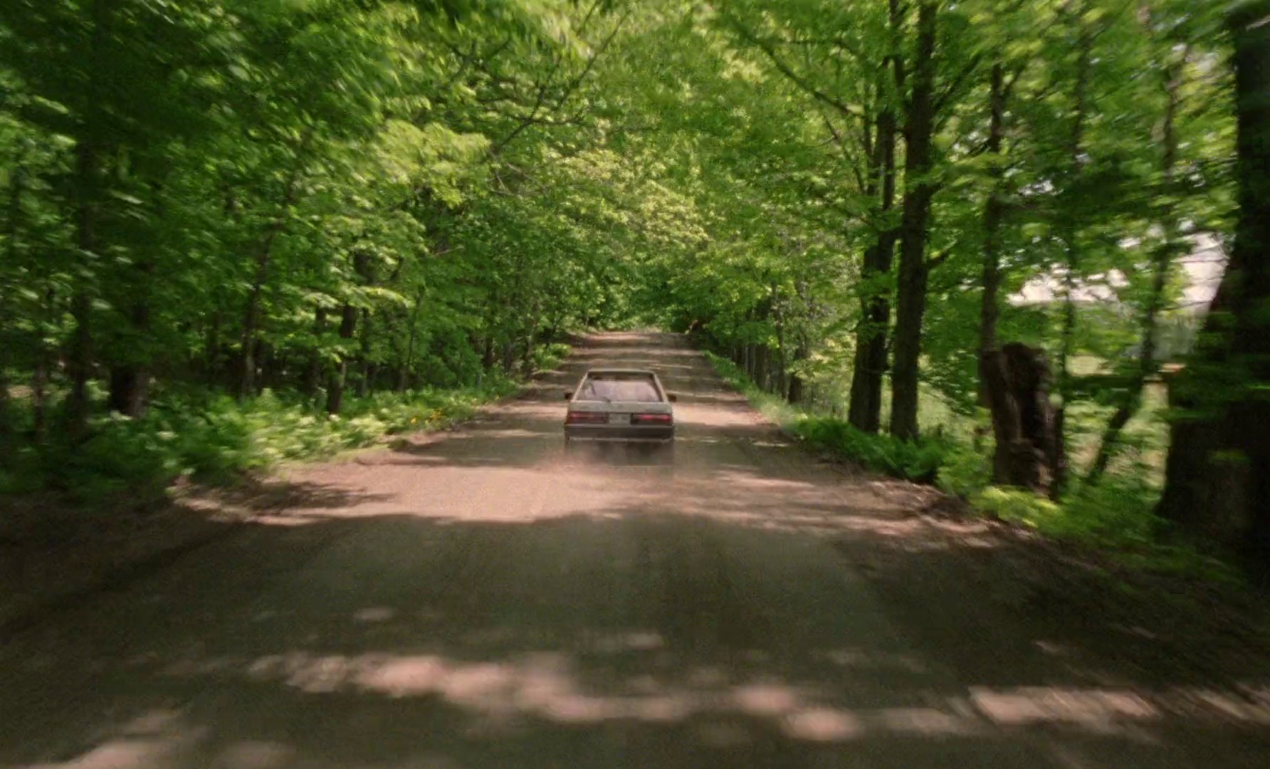 Gallo pinto (2019) —  shot,  lighting