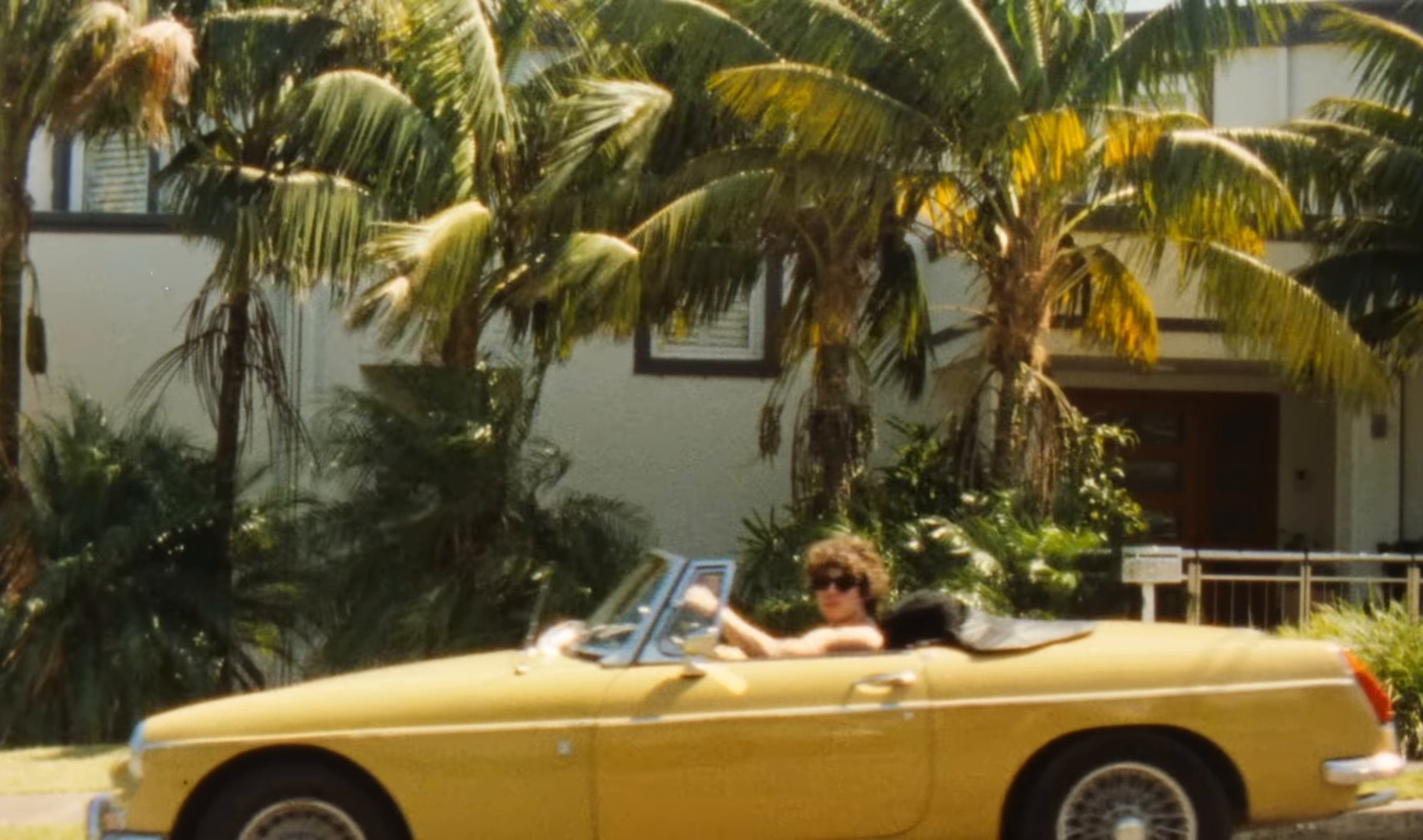 Sunny Baby (2025) —  shot,  lighting