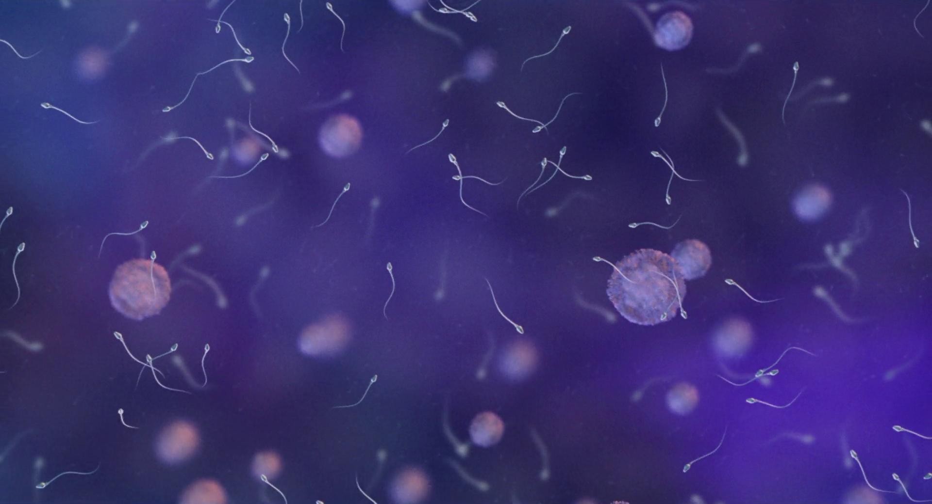 In Bed with Santa (1999) —  shot,  lighting