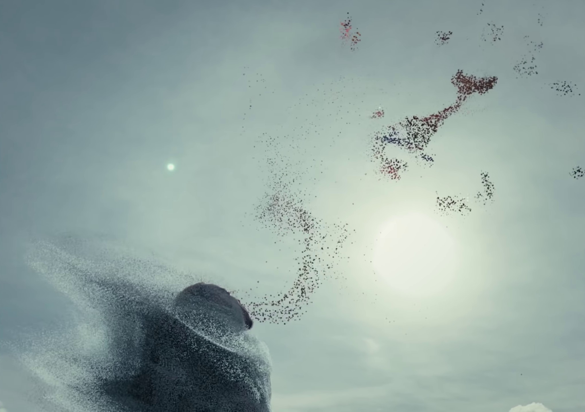 Loyal (2022) —  shot,  lighting