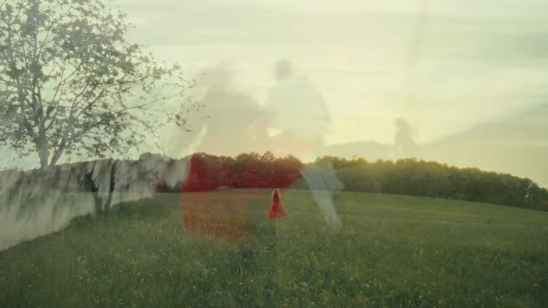 Turning Tables (2024) —  shot,  lighting