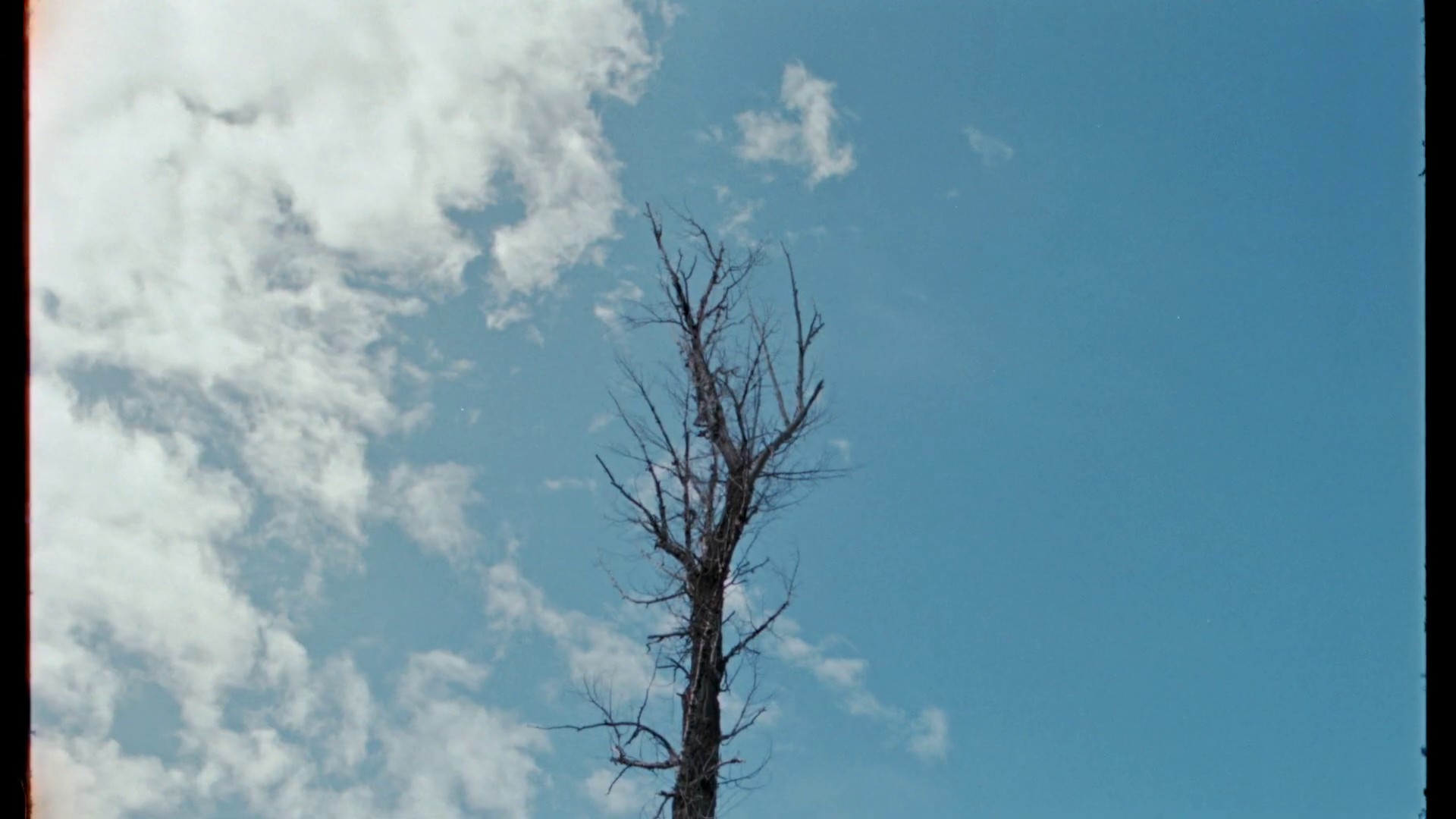 Event Horizon  (2019) —  shot,  lighting