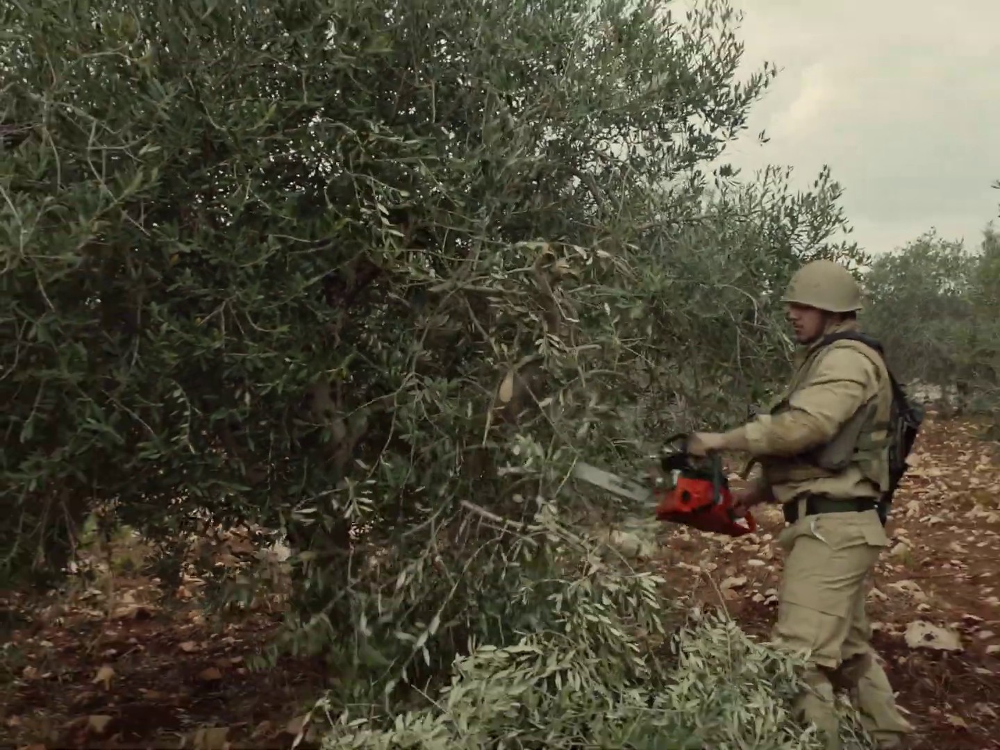 Cavalry (2019) —  shot,  lighting