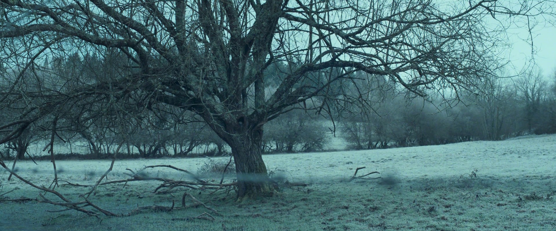 The Astronaut (2023) —  shot,  lighting