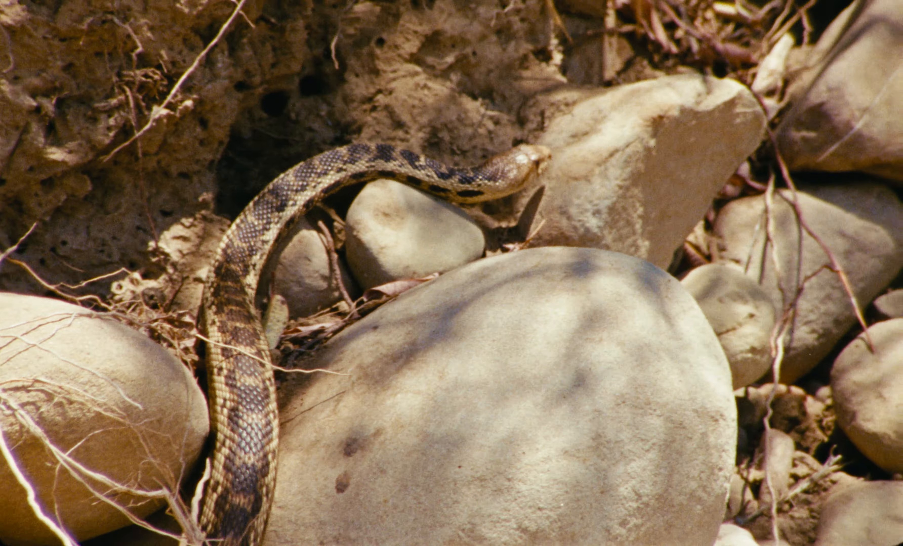 METHOD ACTING (2024) —  shot,  lighting