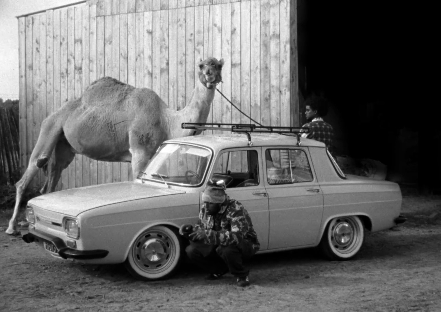 paramount (2025) —  shot,  lighting