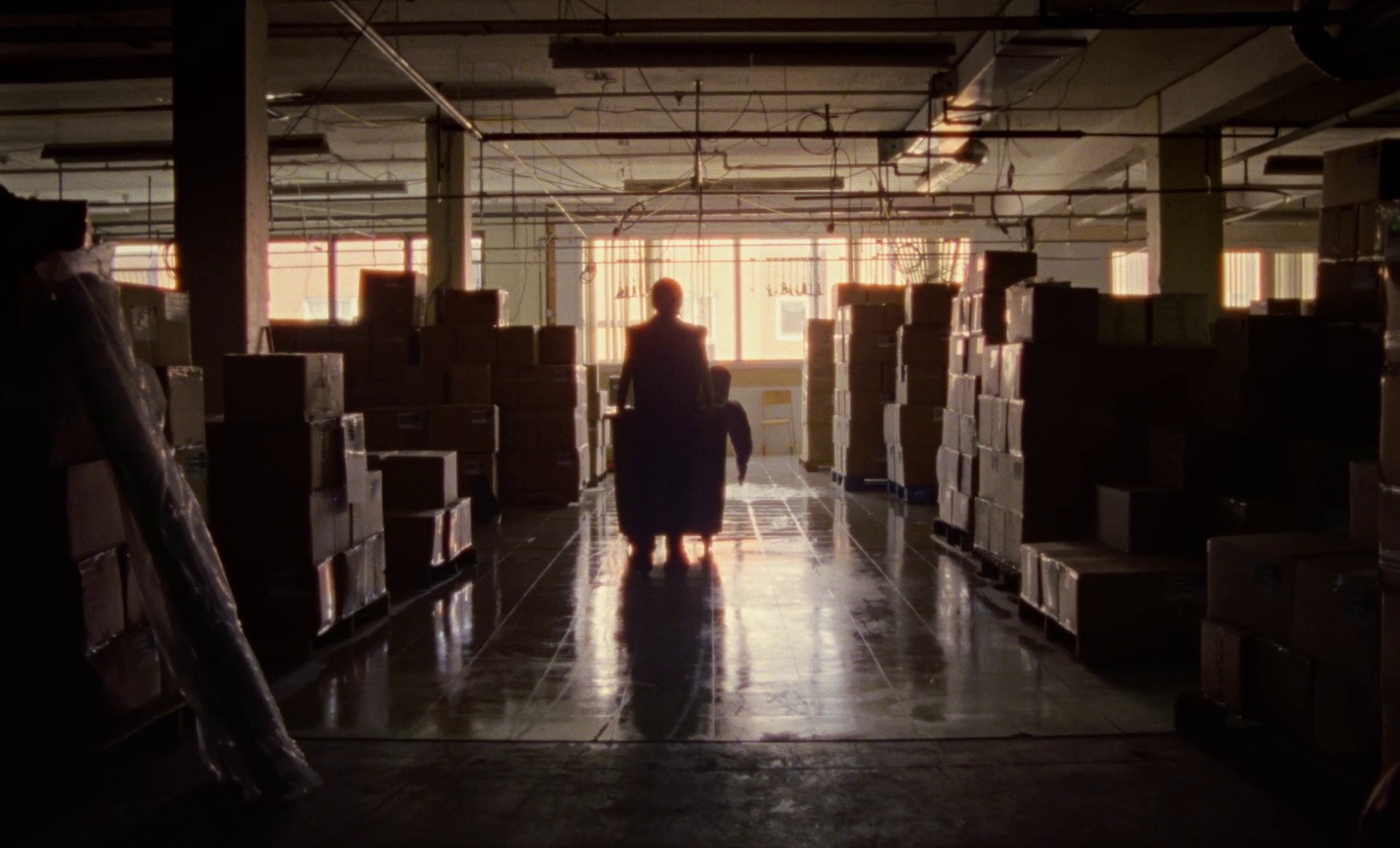 Gallo pinto (2019) —  shot,  lighting