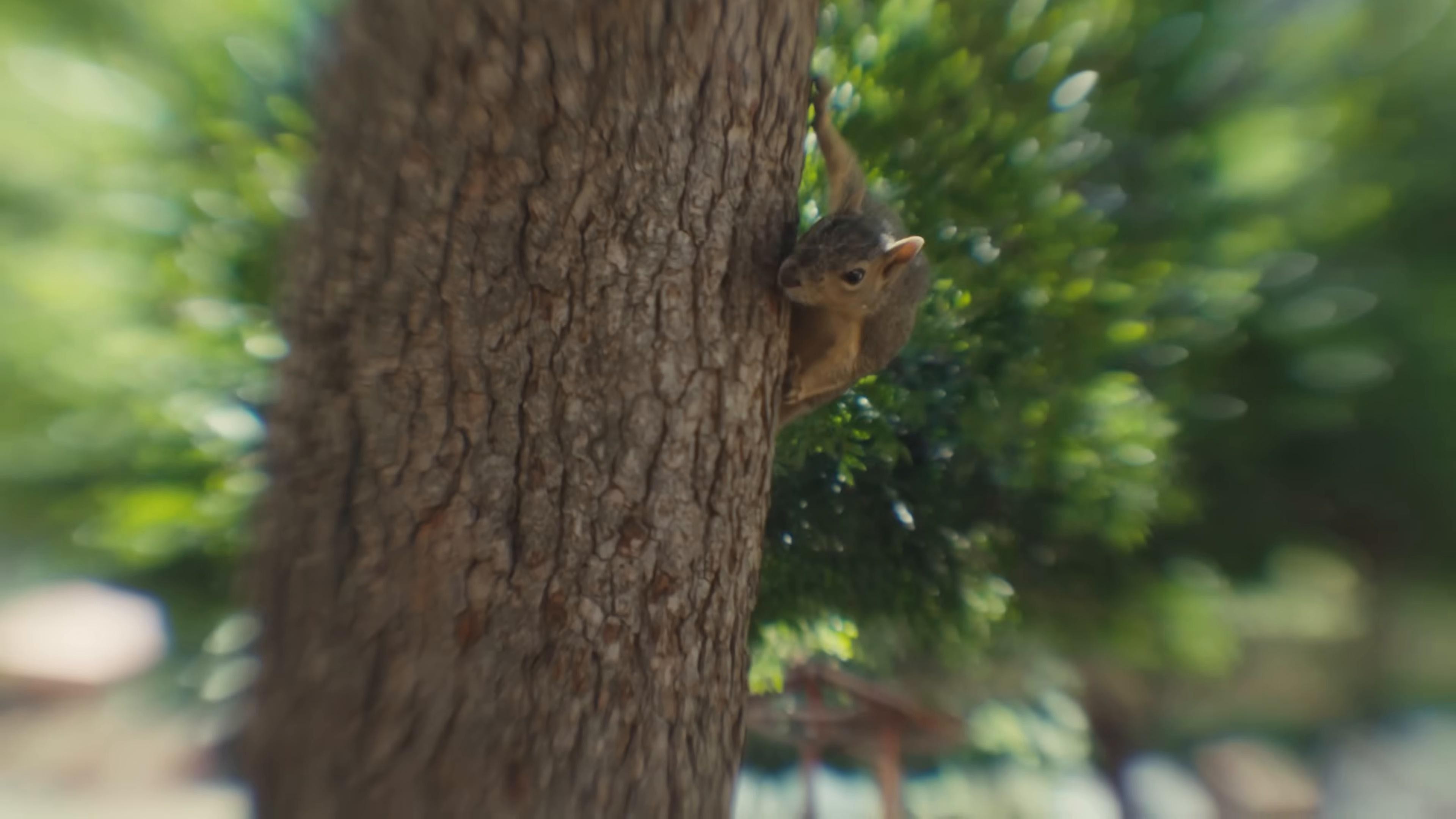 New Wave America (2025) —  shot,  lighting